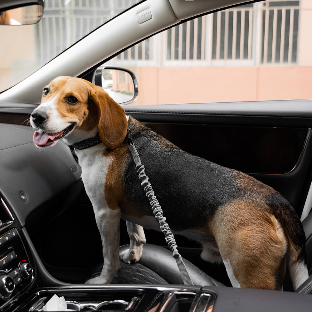 CoolPaw Buffer | Verstelbare Reflecterende Hondenriem voor Auto | Veilig & Comfortabel | Elastisch & Duurzaam | Past op Alle Harnassen - Image 21