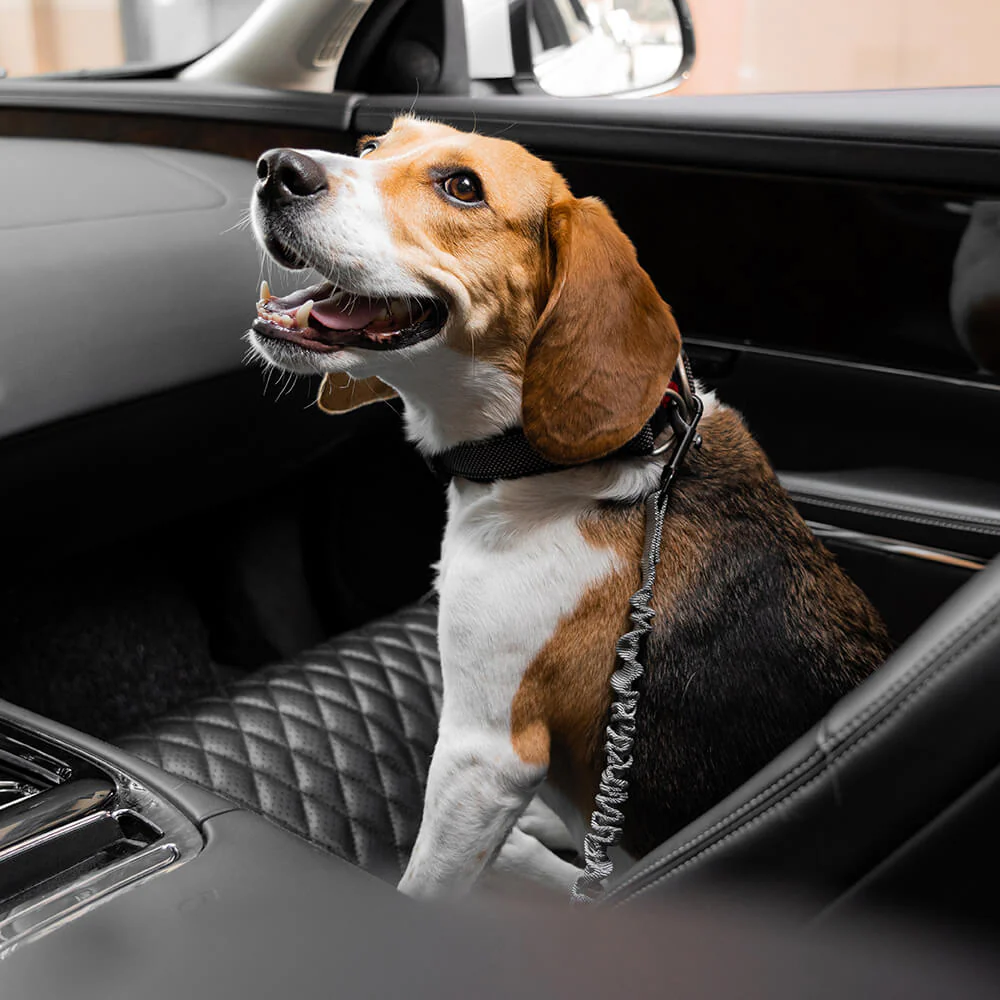 CoolPaw Buffer | Verstelbare Reflecterende Hondenriem voor Auto | Veilig & Comfortabel | Elastisch & Duurzaam | Past op Alle Harnassen - Image 22