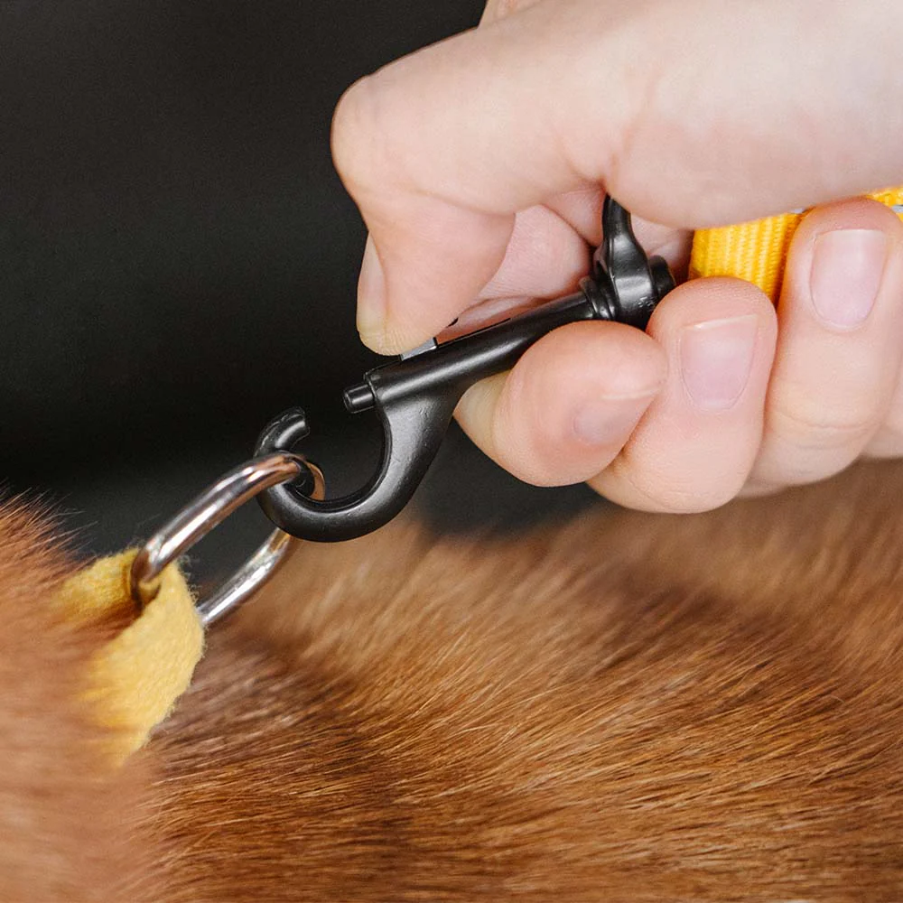 CoolPaw Buffer | Verstelbare Reflecterende Hondenriem voor Auto | Veilig & Comfortabel | Elastisch & Duurzaam | Past op Alle Harnassen - Image 5
