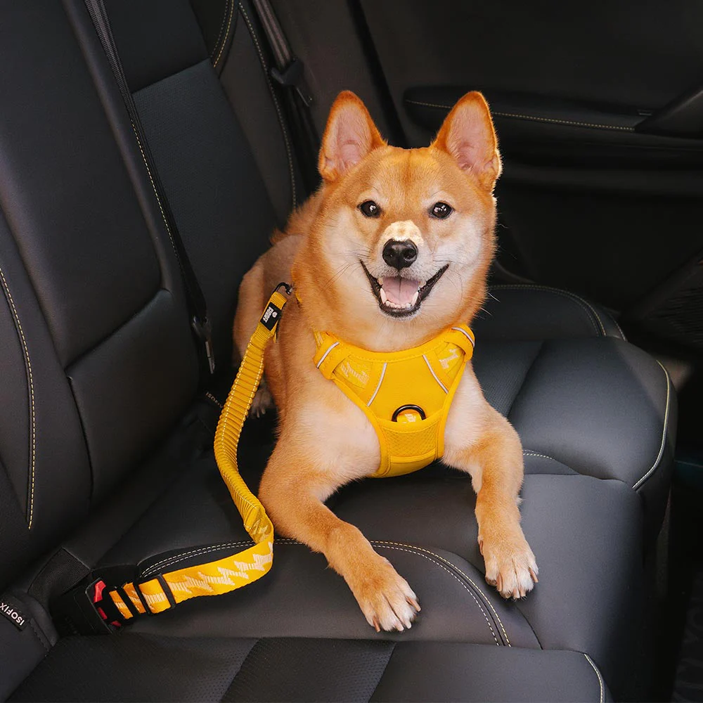 CoolPaw Buffer | Verstelbare Reflecterende Hondenriem voor Auto | Veilig & Comfortabel | Elastisch & Duurzaam | Past op Alle Harnassen - Image 6