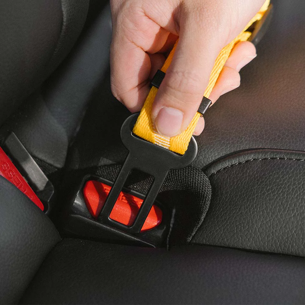 CoolPaw Buffer | Verstelbare Reflecterende Hondenriem voor Auto | Veilig & Comfortabel | Elastisch & Duurzaam | Past op Alle Harnassen - Image 7
