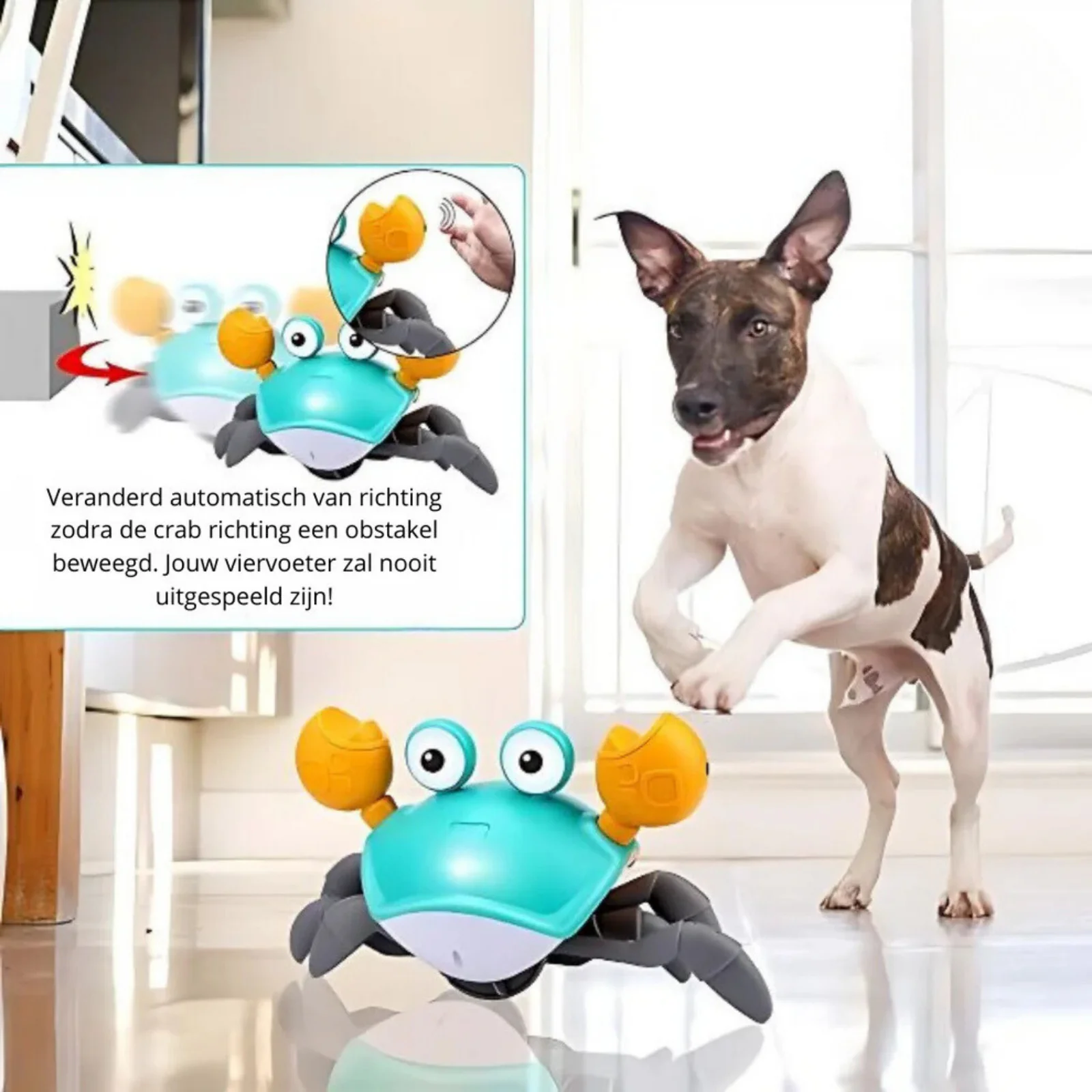Crabwalk Interactief Bewegend Speelmaatje voor Honden | Verhoogt Mentale & Fysieke Activiteit | Beschikbaar in Blauw en Oranje - Image 4