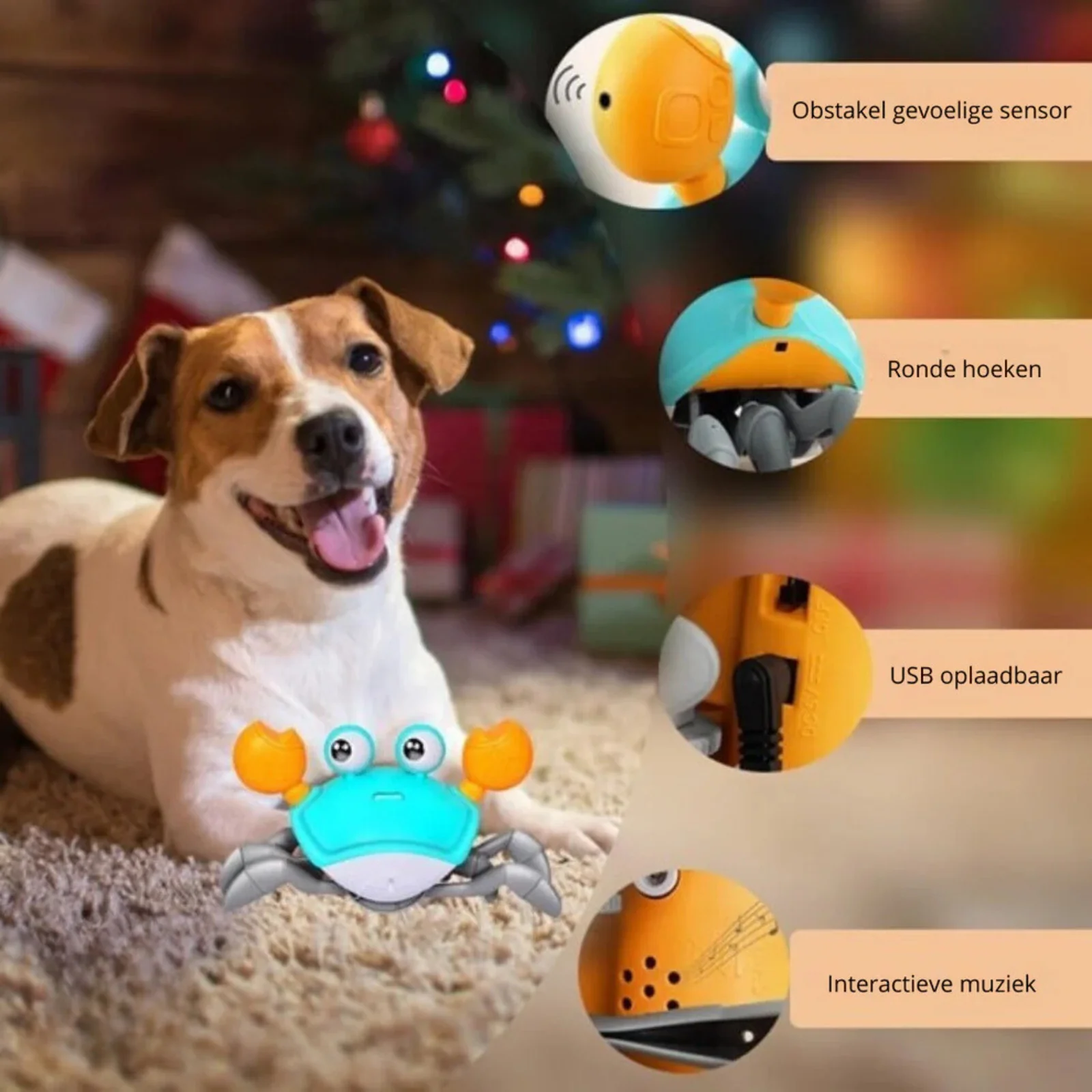 Crabwalk Interactief Bewegend Speelmaatje voor Honden | Verhoogt Mentale & Fysieke Activiteit | Beschikbaar in Blauw en Oranje - Image 5
