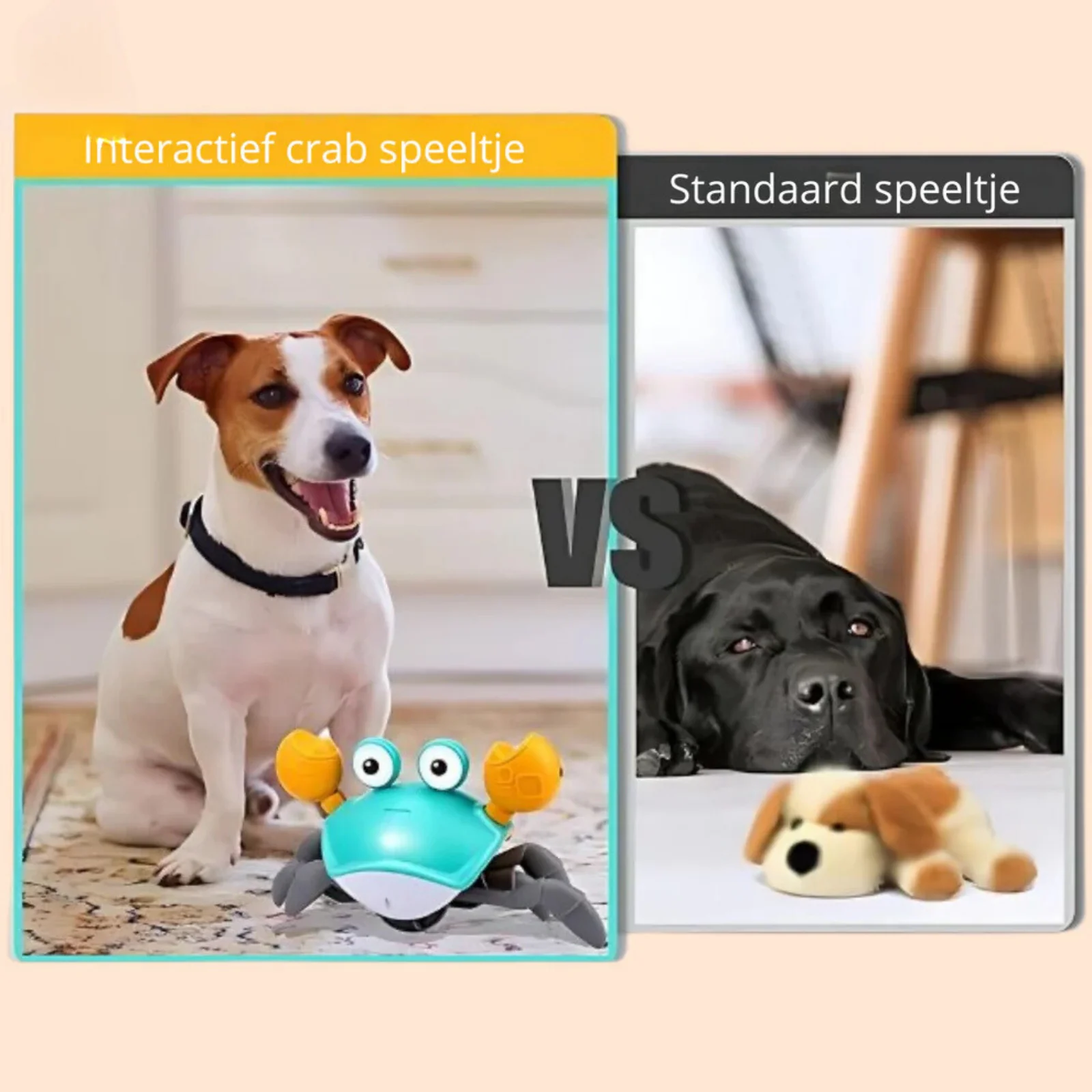 Crabwalk Interactief Bewegend Speelmaatje voor Honden | Verhoogt Mentale & Fysieke Activiteit | Beschikbaar in Blauw en Oranje - Image 6