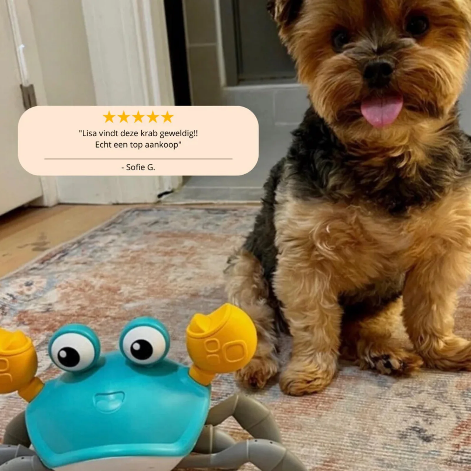 Crabwalk Interactief Bewegend Speelmaatje voor Honden | Verhoogt Mentale & Fysieke Activiteit | Beschikbaar in Blauw en Oranje - Image 7