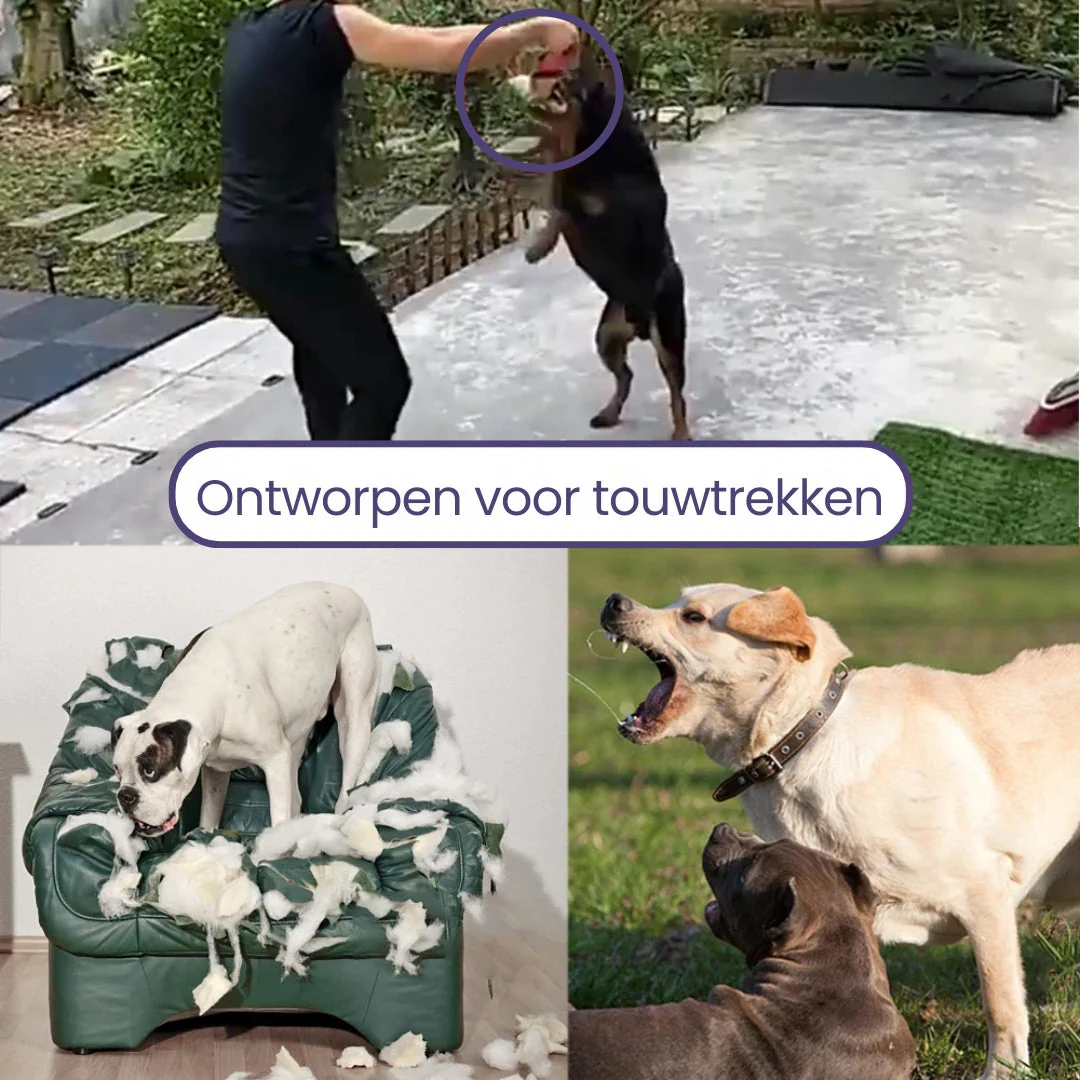 Hondentrainingskussen met Touwgrepen | Duurzaam Kauwspeelgoed | Veerkrachtig Bijtspeeltje voor Honden - Image 9