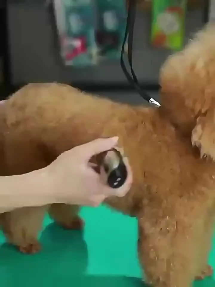 Draadloze huisdiertrimmer voor honden en katten | Stil ontwerp | USB oplaadbaar | Keramisch mes | Verstelbare mesafstand | Inclusief opzetkammen - Image 10