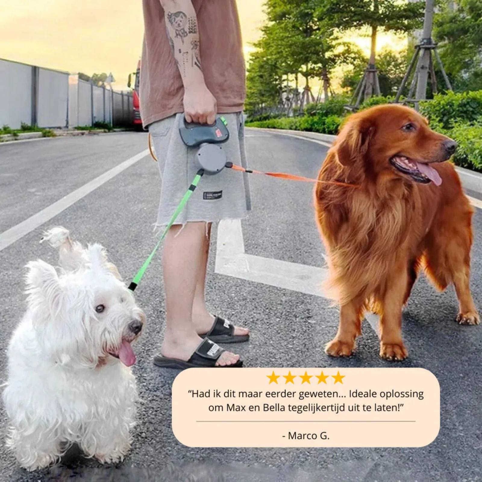 Dubbele Hondenriem voor Twee Honden | 3m Reflecterende Lijn | Ergonomisch Handvat | Veilige Bediening met Kleurenknoppen - Image 12