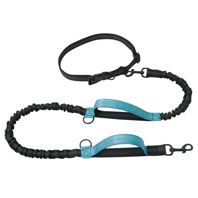 Dubbele Hondenriem Met Elastisch Koord | Reflecterende Stiksels | Voor Wandelen en Joggen - Image 8