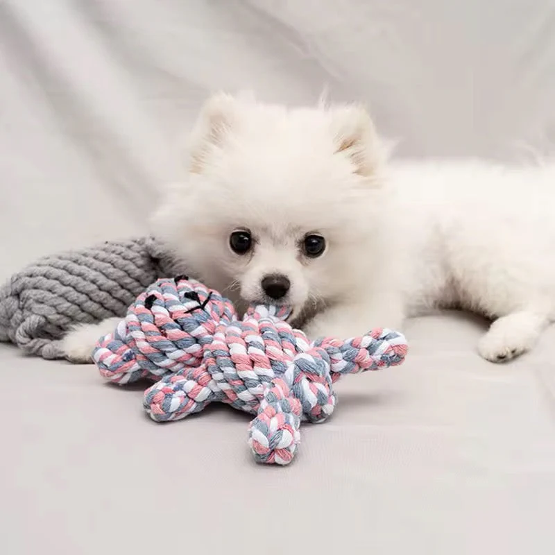 Duurzaam Speelgoed voor Honden | Kauwbestendige Knuffel | Versterkte Stiksels | Geschikt voor Puppy’s en Kleine Honden | Kleurrijke Dierenontwerpen