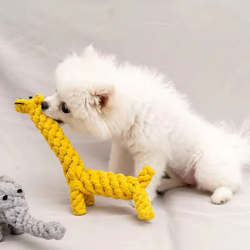 Duurzaam Speelgoed voor Honden | Kauwbestendige Knuffel | Versterkte Stiksels | Geschikt voor Puppy’s en Kleine Honden | Kleurrijke Dierenontwerpen - Image 2