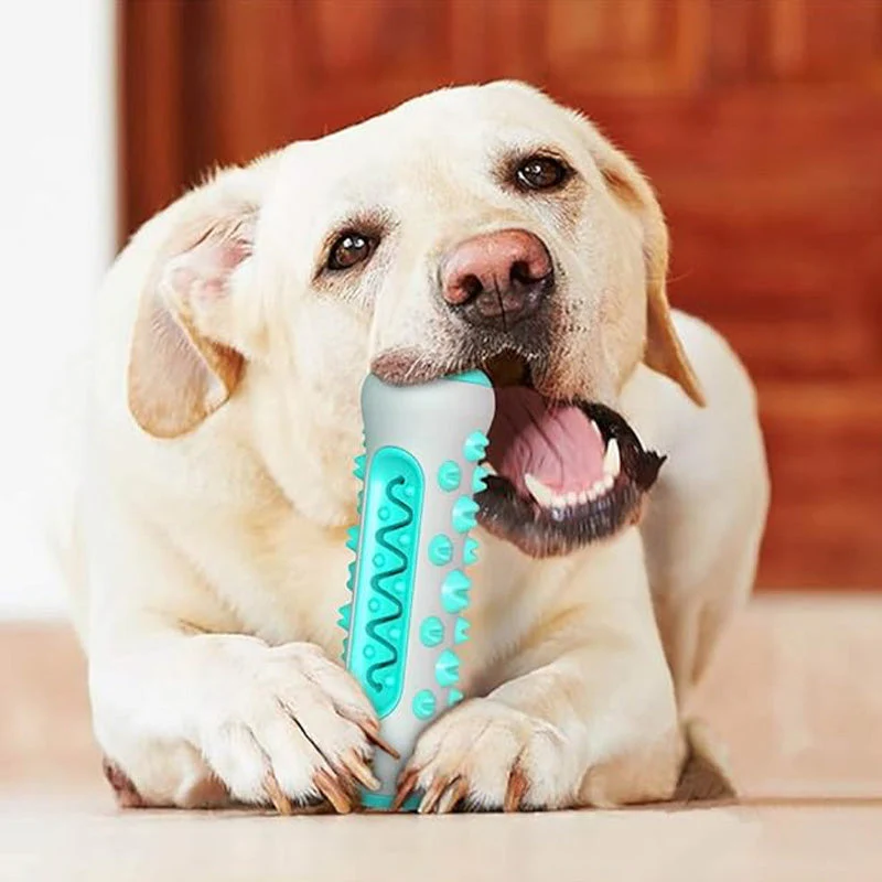 Duurzaam TPR Kauwspeelgoed voor Honden | Tandenreinigend en Angstverlichtend | Geschikt voor Middelgrote tot Grote Rassen | Bevordert Gezond Gebit | Ideaal voor Trainingssessies - Image 2