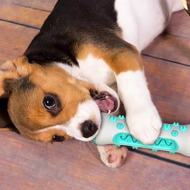 Duurzaam TPR Kauwspeelgoed voor Honden | Tandenreinigend en Angstverlichtend | Geschikt voor Middelgrote tot Grote Rassen | Bevordert Gezond Gebit | Ideaal voor Trainingssessies - Image 3