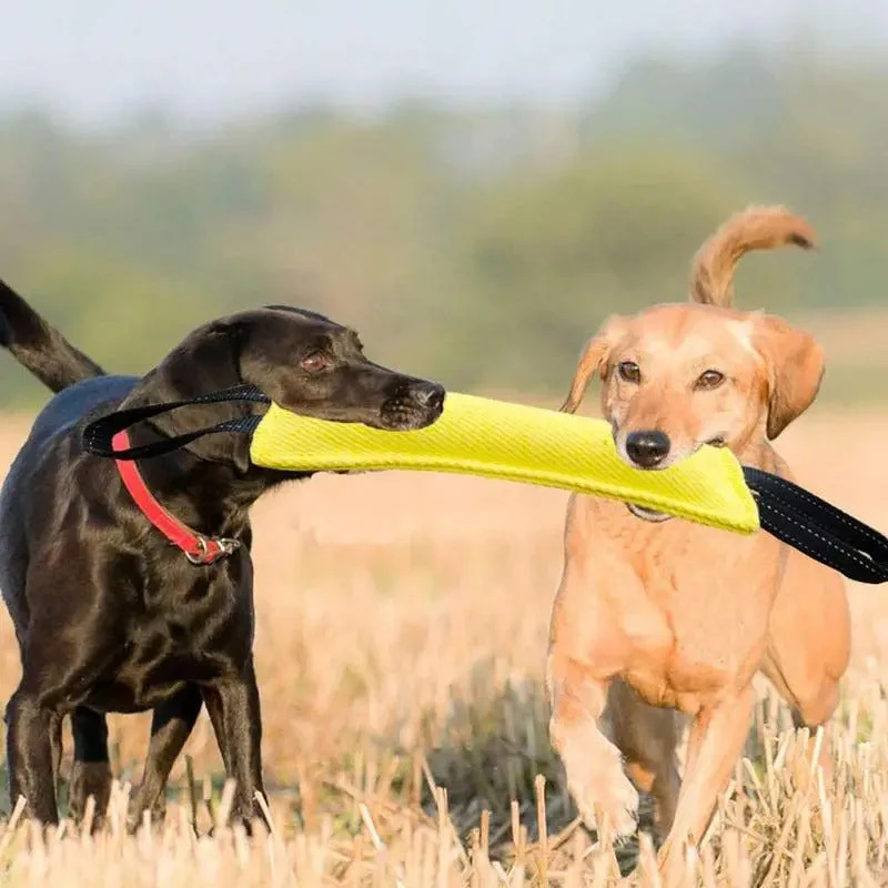 Duurzaam Kauwspeelgoed voor Honden | Bijtvast en Non-Toxisch | Perfect voor Apporteren en Touwtrekken | Verbeterd voor Tandgezondheid | Ideaal voor Binnen en Buiten | Gemaakt van Hoogwaardige Materialen | Lichtgewicht en Draagbaar - Image 2