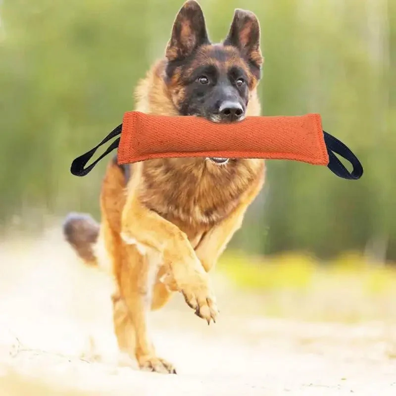 Duurzaam Kauwspeelgoed voor Honden | Bijtvast en Non-Toxisch | Perfect voor Apporteren en Touwtrekken | Verbeterd voor Tandgezondheid | Ideaal voor Binnen en Buiten | Gemaakt van Hoogwaardige Materialen | Lichtgewicht en Draagbaar - Image 6