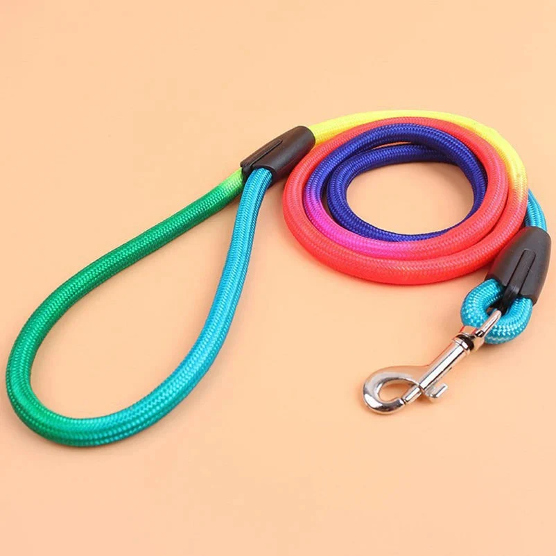 Nylon Hondenriem | Duurzaam en Lichtgewicht | Comfortabel Handvat | Heldere Kleuren | Geschikt voor Kleine en Middelgrote Puppy's | Ideaal voor Dagelijks Gebruik en Reizen