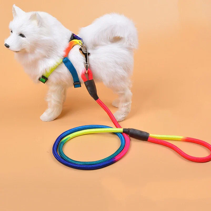 Nylon Hondenriem | Duurzaam en Lichtgewicht | Comfortabel Handvat | Heldere Kleuren | Geschikt voor Kleine en Middelgrote Puppy's | Ideaal voor Dagelijks Gebruik en Reizen - Image 3
