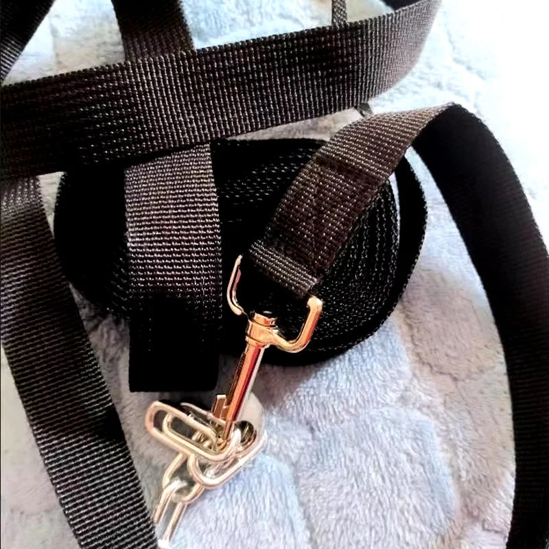 Nylon Hondenlijn Met Stevige Greep | Meerdere Lengteopties | Geschikt Voor Kleine Tot Grote Honden - Image 3