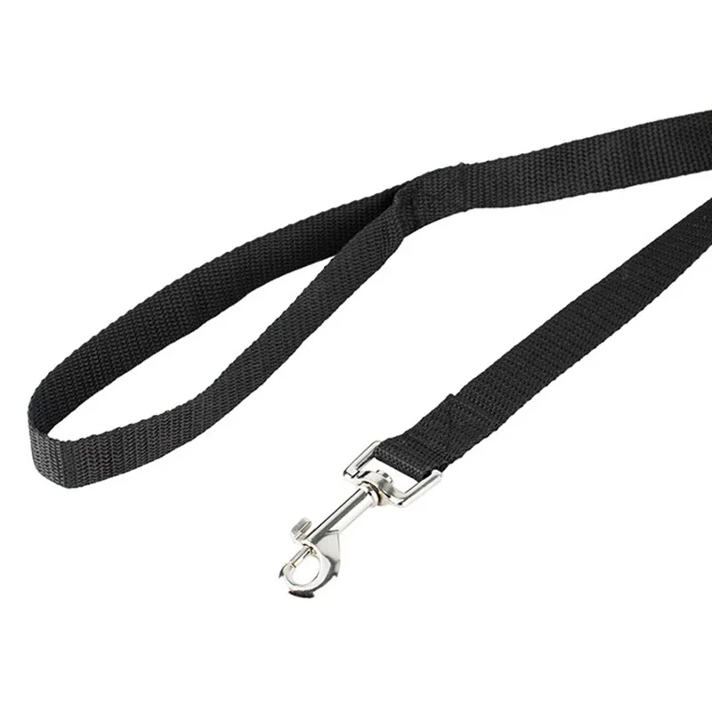 Nylon Hondenlijn Met Stevige Greep | Meerdere Lengteopties | Geschikt Voor Kleine Tot Grote Honden - Image 5