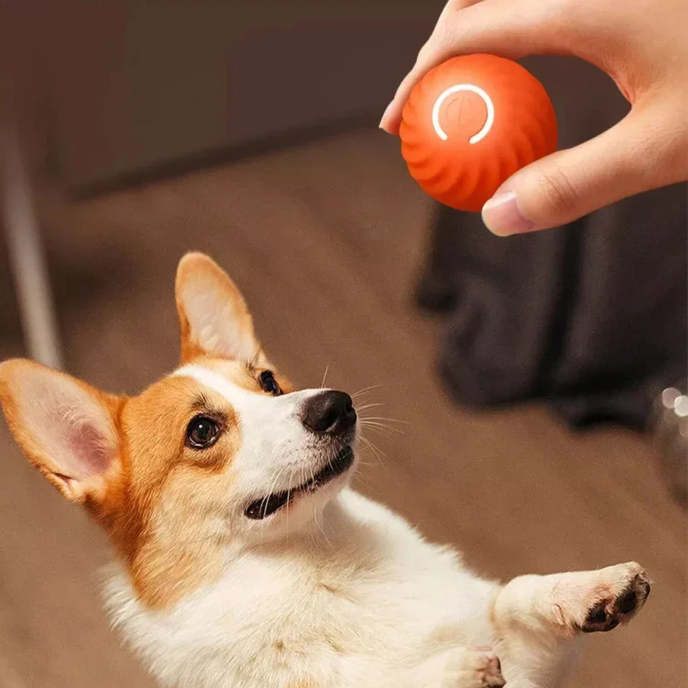 Interactieve Oplaadbare Huisdier Bal | Slimme Zwaartekracht Stuiterbal voor Kat en Hond | Automatische Rolfunctie - Image 4
