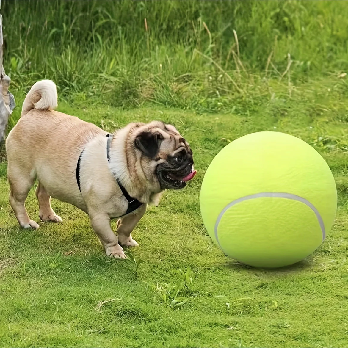 Extra grote tennisbal voor grote honden | Duurzaam niet-giftig rubber | 24 cm diameter | Hoge zichtbaarheid | Ideaal voor buiten spelen en actieve honden - Image 7