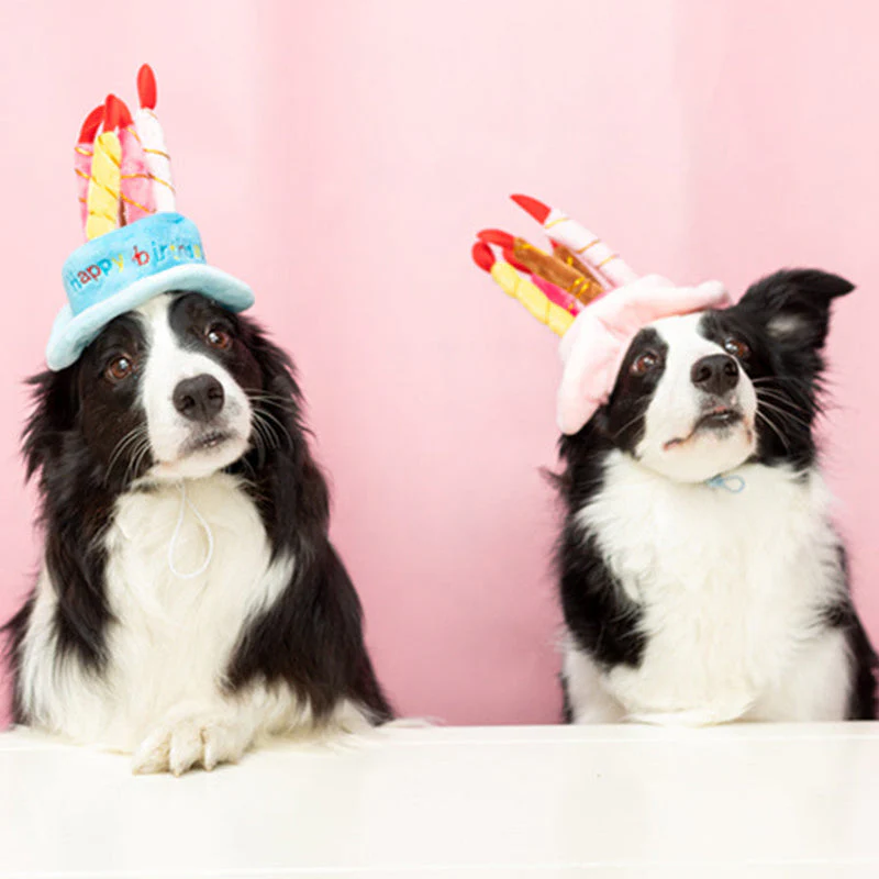 Verstelbare Verjaardagsmuts voor Huisdieren | Zacht en Duurzaam Materiaal | Geschikt voor Diverse Feestjes - Image 3
