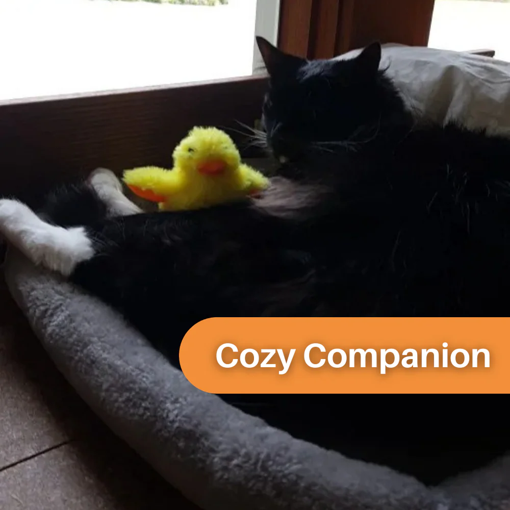 Interactie Katten Speelgoed | Elektrische Fladderende Eend | Rekenbaar USB | Quack Buddy™ | Voor Fysieke Activering en Jacht | Duurzaam Huisdierentertainment - Image 4