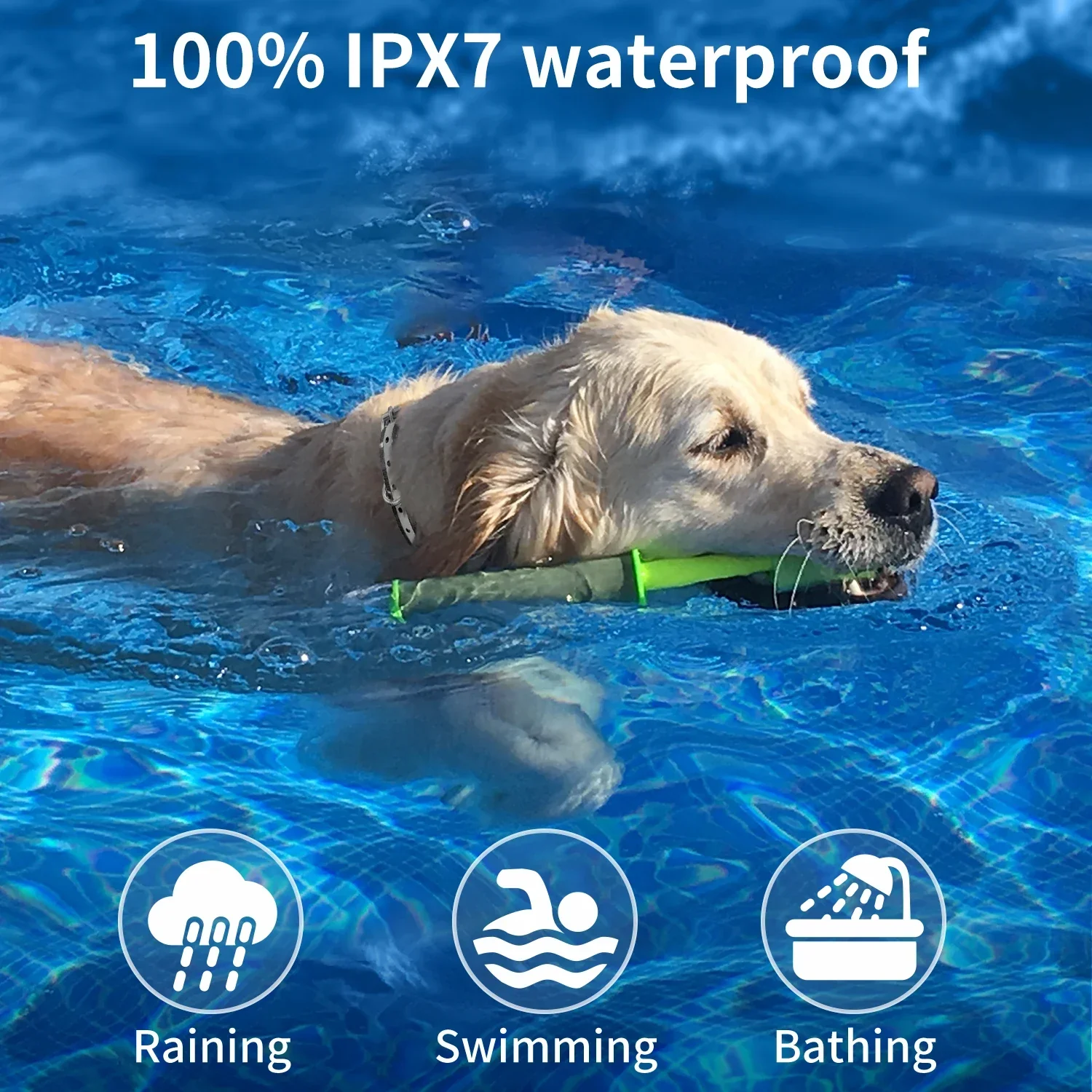 Geavanceerde Trainingshalsband voor Honden | IPX7 Waterdicht | 1000 Meter Bereik | Trillen & 9 Tonale Signalen | Oplaadbaar - Image 5