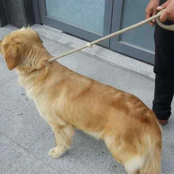 Nylon Slipkoord Hondentuig Zonder Halsband | Verstelbare Antitrekrain met Zacht Handvat | Voor Middelgrote en Grote Honden | Verkrijgbaar in Khaki Zwart Rood Blauw Koffie | Duurzaam Gevlochten voor Comfortabele Wandelervaring - Image 5