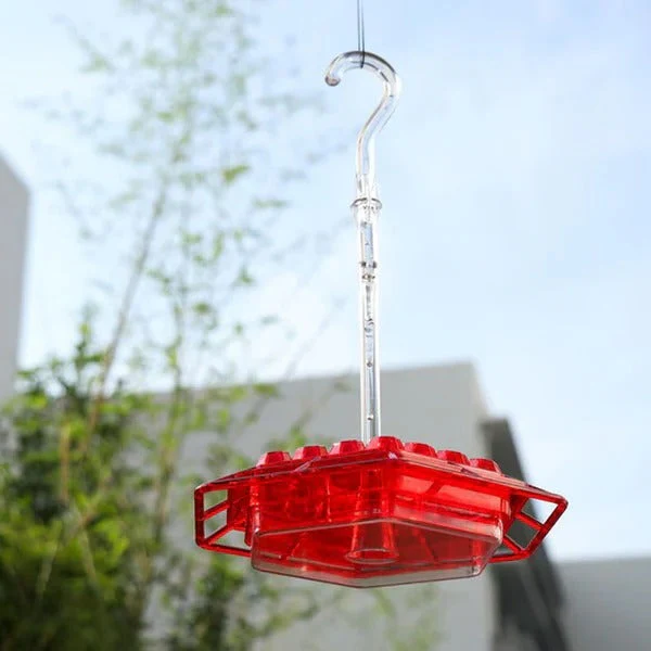 Kolibrie Voederstation | Glazen Voederbak | Ingebouwde Mierenbeveiliging | 24 oz Capaciteit | 4 Voeropeningen | Lekvrij Design | Brede Vulopening | Helder Gekleurd | Ideaal voor Tuin of Balkon - Image 2