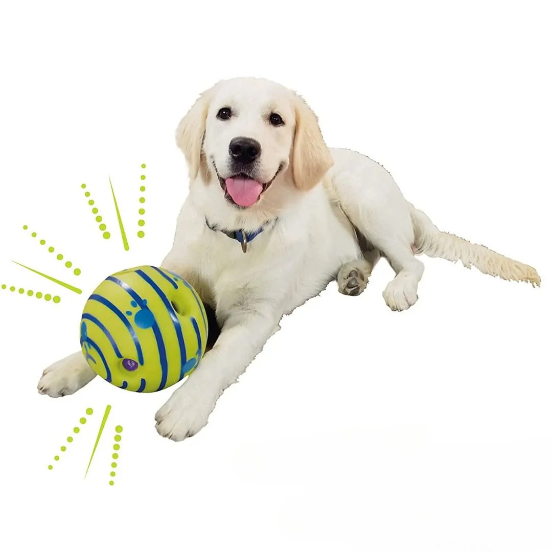 Giechelende Speelbal Voor Honden | Glow In The Dark | Duurzaam Kunststof | Voor Alle Hondenrassen | Geen Batterijen Nodig | Groene Interactieve Bal - Image 13