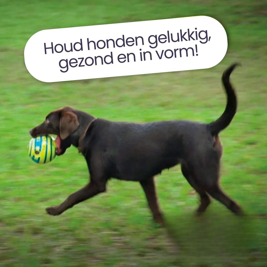 Giechelende Speelbal Voor Honden | Glow In The Dark | Duurzaam Kunststof | Voor Alle Hondenrassen | Geen Batterijen Nodig | Groene Interactieve Bal - Image 2