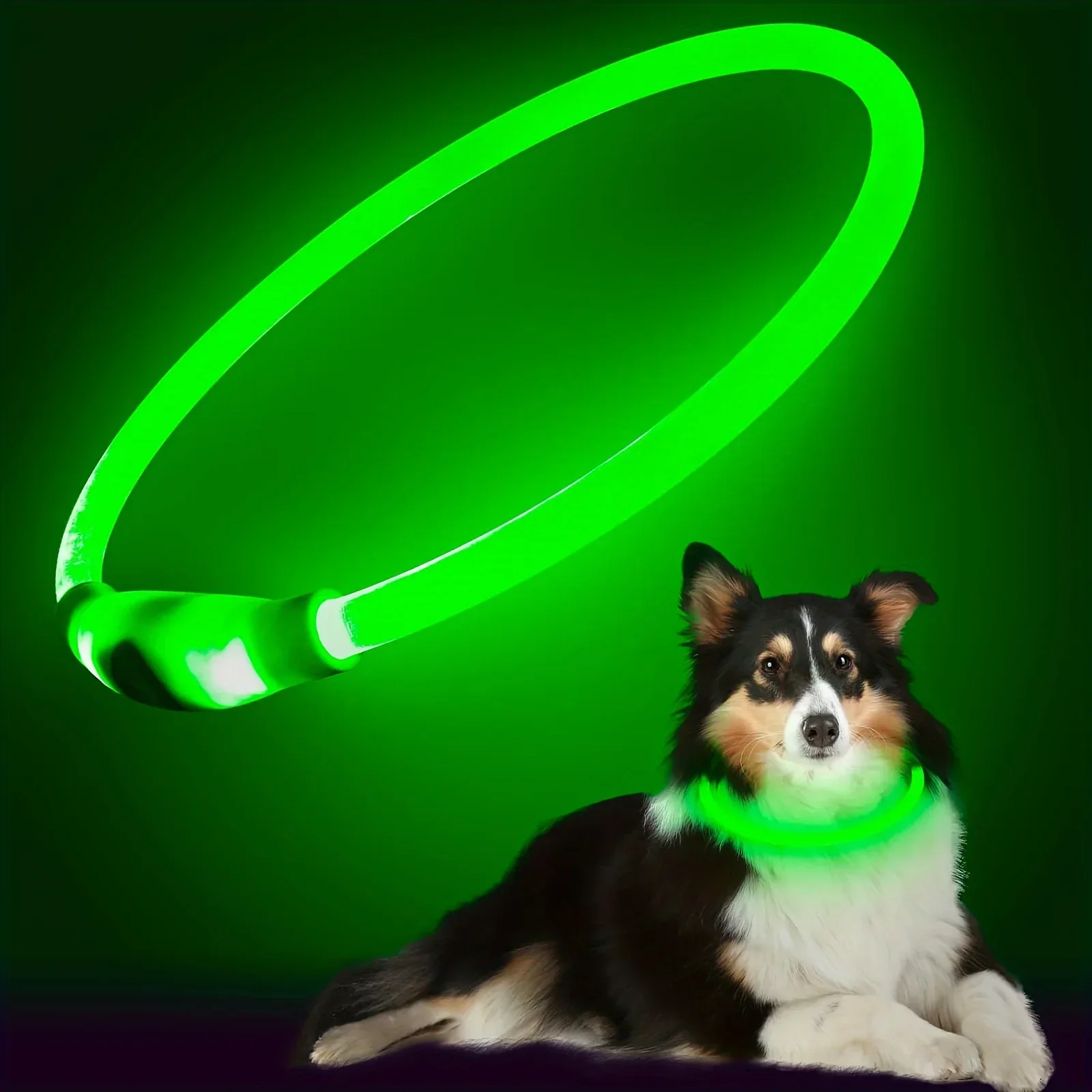 GlowPaws | Oplaadbare LED Veiligheidshalsband voor Honden met Meerdere Lichtstanden | Weerbestendig - Image 8