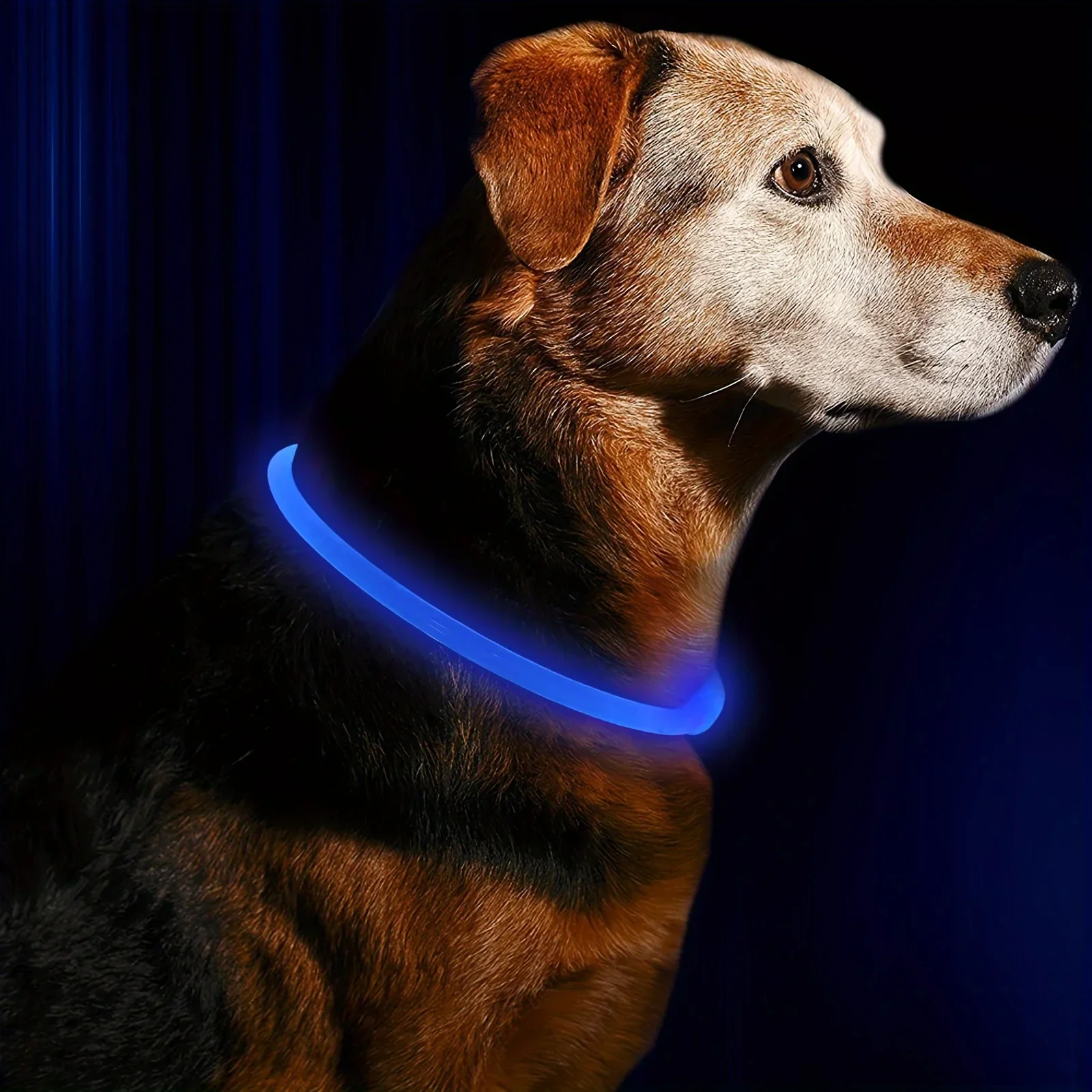 GlowPaws | Oplaadbare LED Veiligheidshalsband voor Honden met Meerdere Lichtstanden | Weerbestendig - Image 9