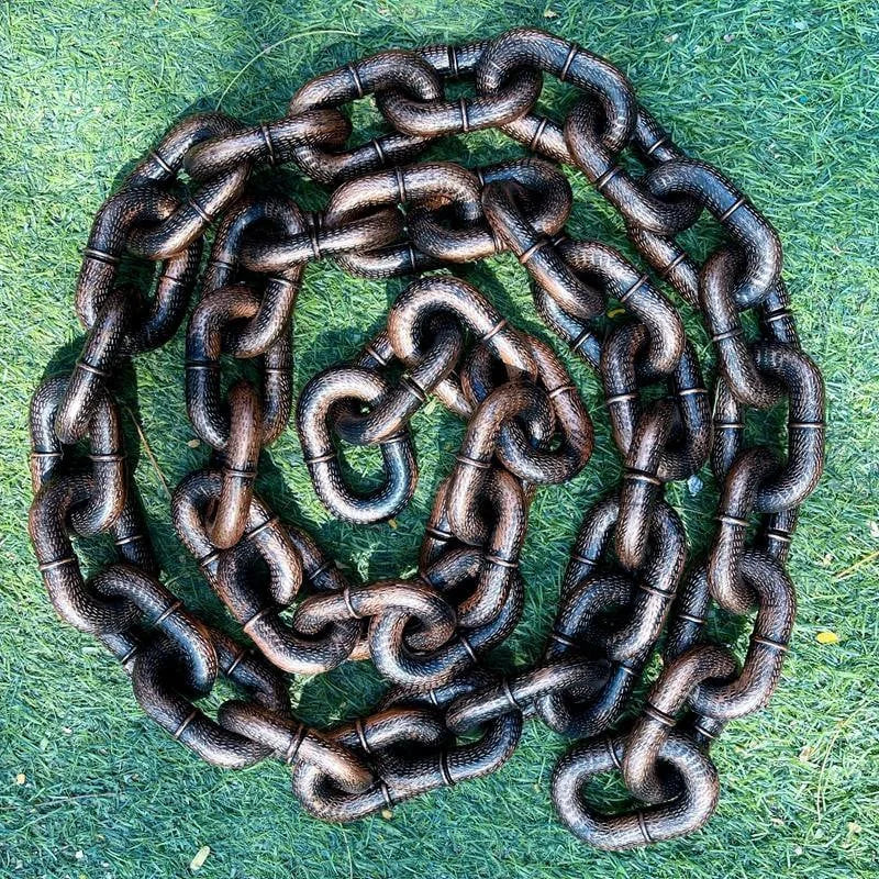 Ultrasterke Kunststof Hondenriem | Zware Dikke Ketting Voor Grote Honden | Kluwenvrij Ontwerp | Veilige Sluiting | Weerbestendig en Duurzaam | Geschikt Voor Sterke Rassen - Image 6
