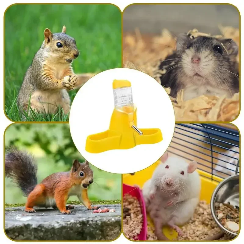 Hamster Waterdispenser | Kleine Dierkooi Accessoires | Automatische Drinkfles PP Materiaal | Lichtgewicht en Lekvrij | Geschikt voor Eekhoorns, Egels, Cavia's | Modern en Transparant Design - Image 2