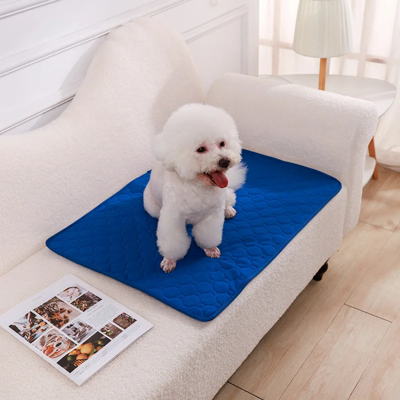 Herbruikbare Trainingsmat voor Honden | 4-laags Absorberend & Antislip Ontwerp | Geschikt voor Meubel- en Autobescherming | Machinewasbaar - Image 17