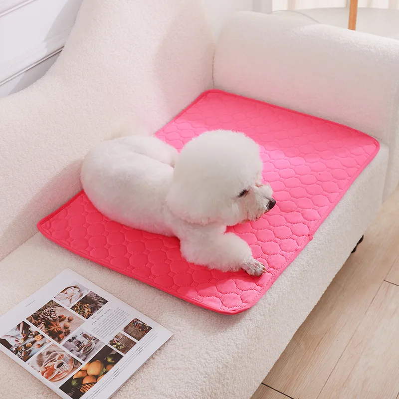 Herbruikbare Trainingsmat voor Honden | 4-laags Absorberend & Antislip Ontwerp | Geschikt voor Meubel- en Autobescherming | Machinewasbaar - Image 18