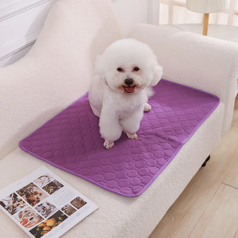 Herbruikbare Trainingsmat voor Honden | 4-laags Absorberend & Antislip Ontwerp | Geschikt voor Meubel- en Autobescherming | Machinewasbaar - Image 19