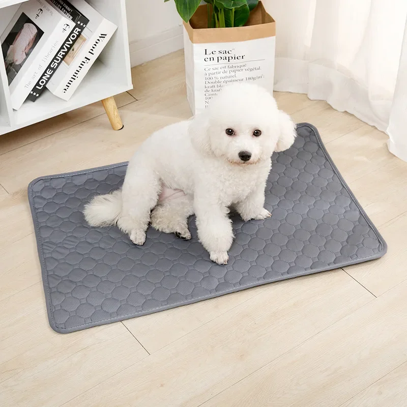 Herbruikbare Trainingsmat voor Honden | 4-laags Absorberend & Antislip Ontwerp | Geschikt voor Meubel- en Autobescherming | Machinewasbaar - Image 4