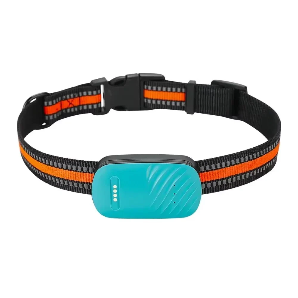 4G GPS Tracker Huisdieren | Realtime Locatie | Waterdicht IP67 | Veiligheid Halsband | Wereldwijde Dekking | Groen Oranje | Compatibel met iOS Android | Nano SIM Slot | Bewegingshistorie en Geo-fence - Image 10