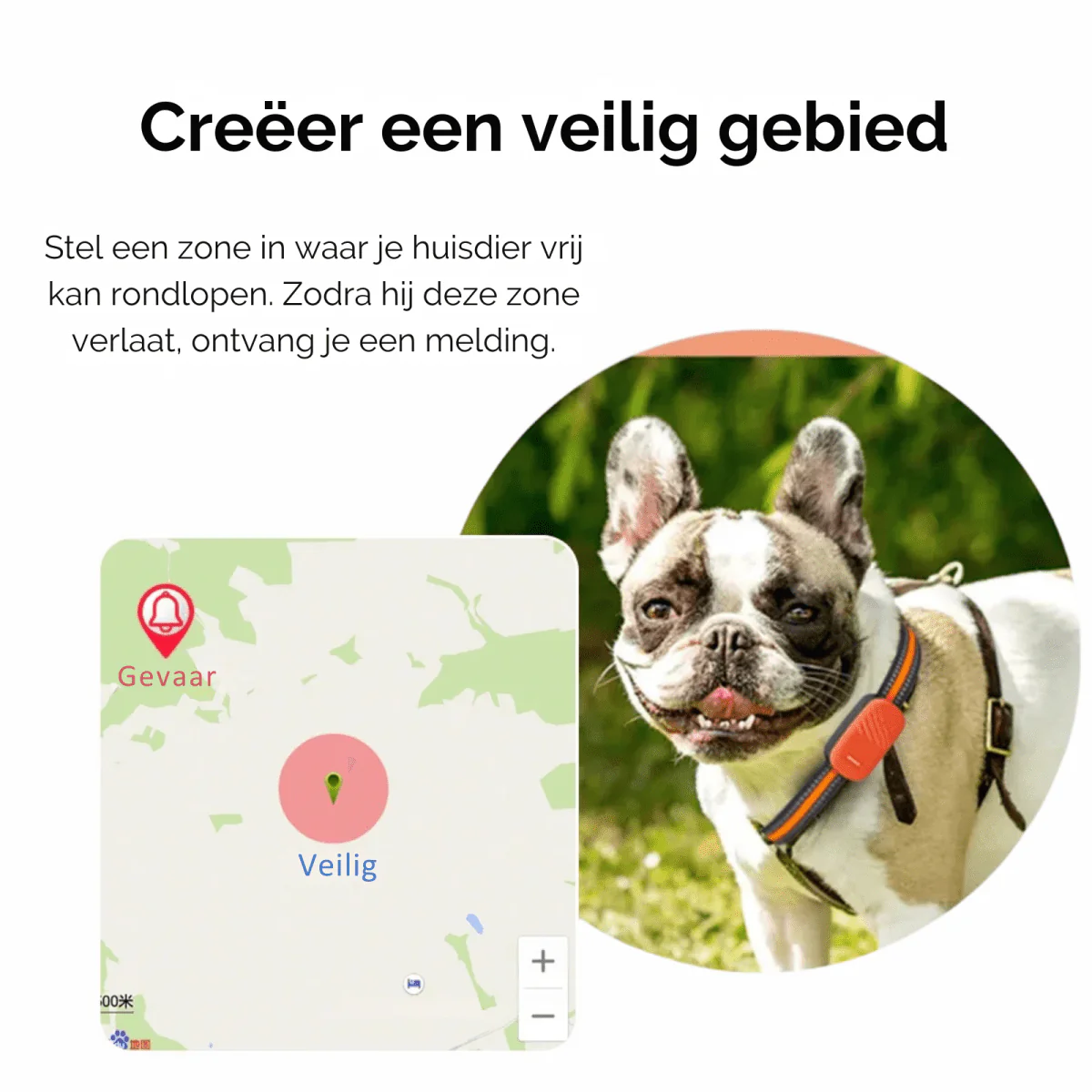 4G GPS Tracker Huisdieren | Realtime Locatie | Waterdicht IP67 | Veiligheid Halsband | Wereldwijde Dekking | Groen Oranje | Compatibel met iOS Android | Nano SIM Slot | Bewegingshistorie en Geo-fence - Image 5