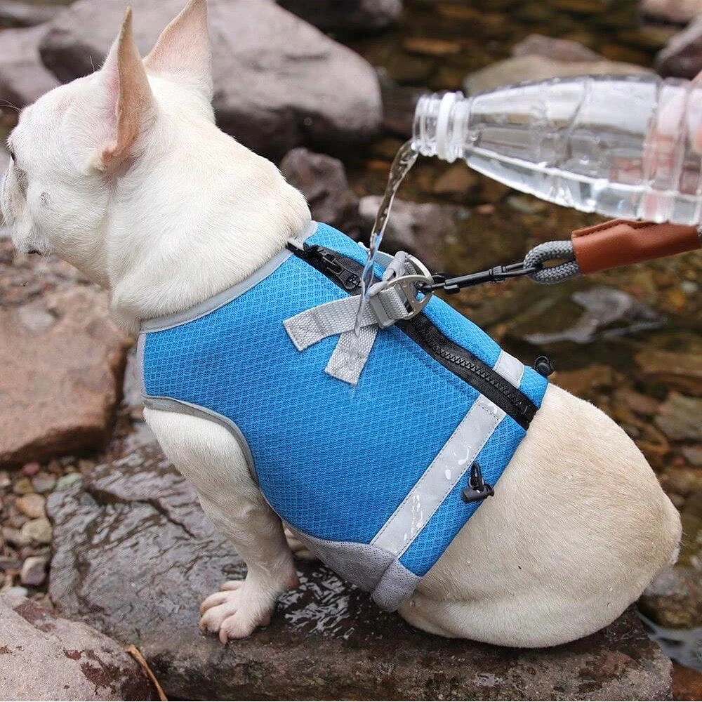 Verstelbaar Reflecterend Koelvest Voor Honden | Limegroen, Blauw, Oranje | Comfortabel op Warme Dagen | Snel Afneembare Hondentop | Geschikt Voor Wandeling, Training, Shows | D-Ring Voor Riem - Image 3
