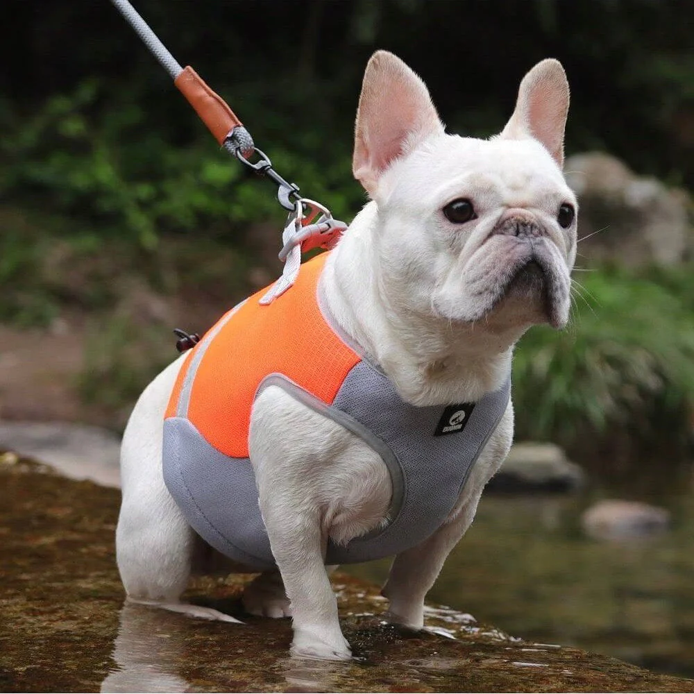 Verstelbaar Reflecterend Koelvest Voor Honden | Limegroen, Blauw, Oranje | Comfortabel op Warme Dagen | Snel Afneembare Hondentop | Geschikt Voor Wandeling, Training, Shows | D-Ring Voor Riem - Image 6