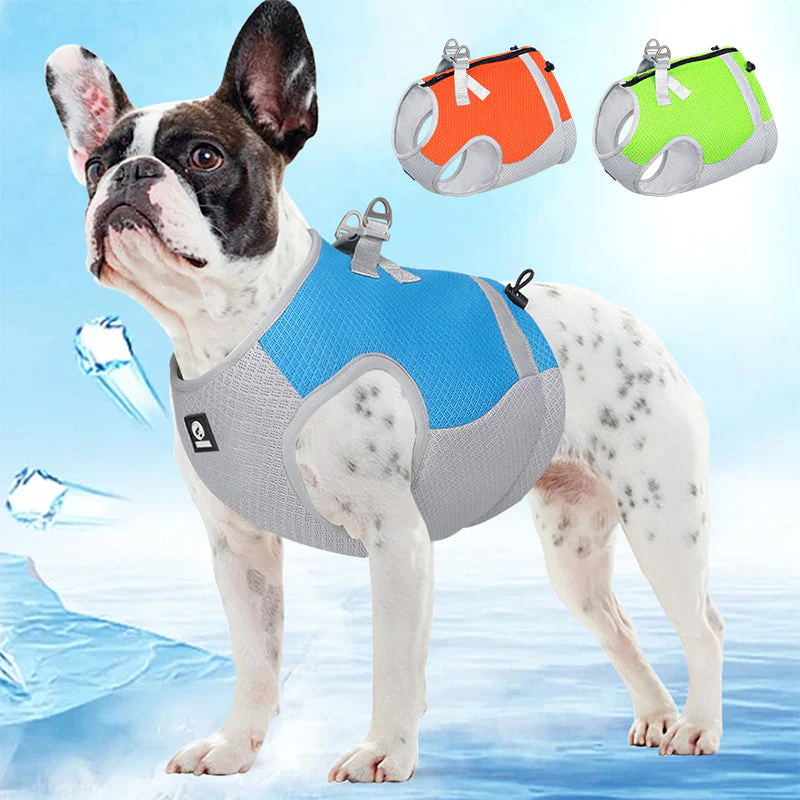 Verstelbaar Reflecterend Koelvest Voor Honden | Limegroen, Blauw, Oranje | Comfortabel op Warme Dagen | Snel Afneembare Hondentop | Geschikt Voor Wandeling, Training, Shows | D-Ring Voor Riem - Image 8