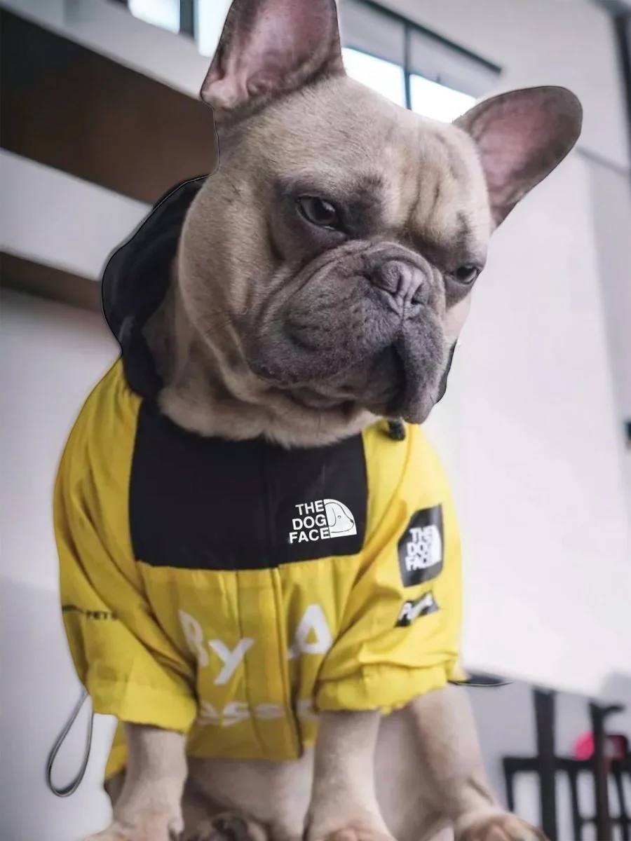 Geel Hond Jasje | The Dog Face | Winddicht Regenjack | Waterdicht Mesh Vriendelijk | Harnasgat Veiligheid | Stijlvol Comfortabel - Image 3