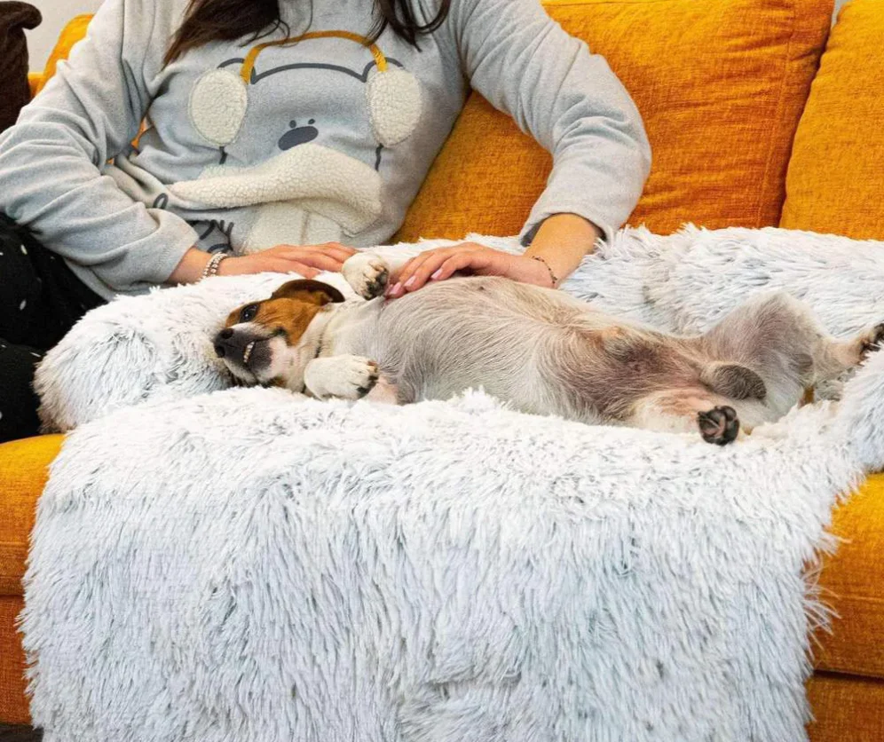 Hondenplaid waterdicht en hypoallergeen | Zachte luxe honden deken ter bescherming van bank en meubels | Wasbaar en comfortabel - Image 4