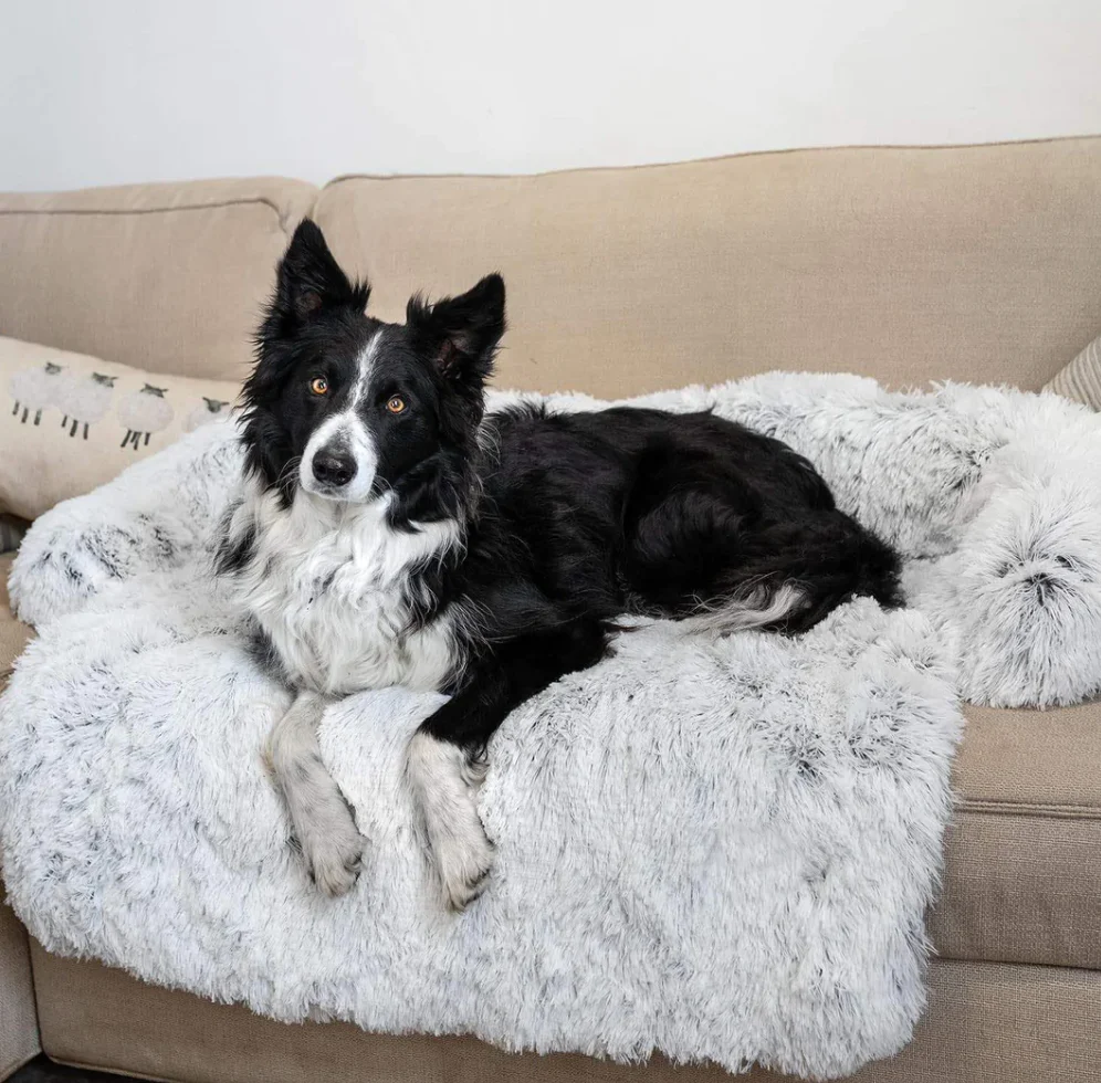Hondenplaid waterdicht en hypoallergeen | Zachte luxe honden deken ter bescherming van bank en meubels | Wasbaar en comfortabel - Image 8