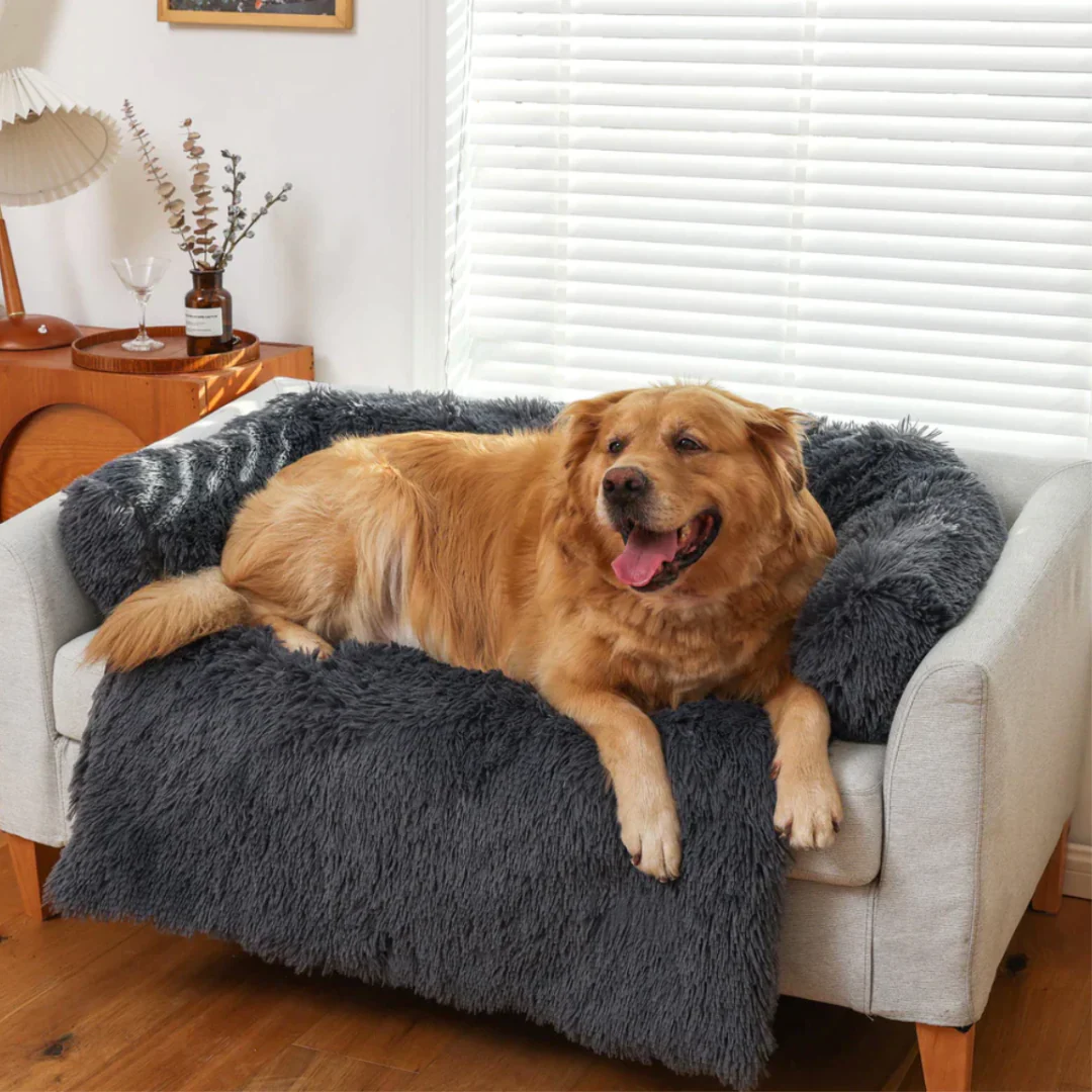 Hondenplaid waterdicht en hypoallergeen | Zachte luxe honden deken ter bescherming van bank en meubels | Wasbaar en comfortabel - Image 9