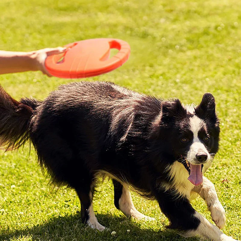 Duurzame Vliegende Schijf voor Honden | Ideaal voor Actieve Training en Speelsessies | Geschikt voor Alle Hondenmaten | Slijt- en Waterbestendig - Image 3